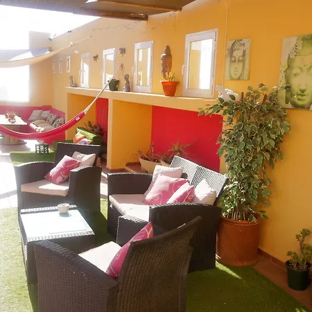 Laif 2* Cotillo